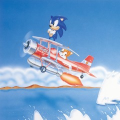 sky chase zone vapor wave cover