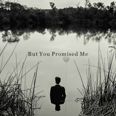 But You Promised Me
