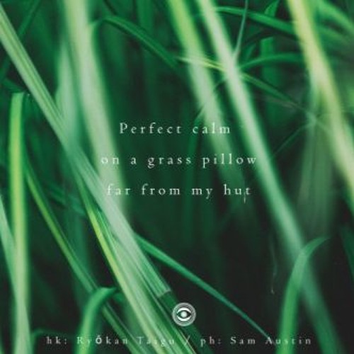 on a grass pillow (Naviar Haiku 141)