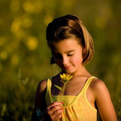 A Graceful Flower
