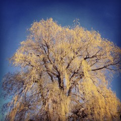 Makes Me Want To Come Home (Demo)