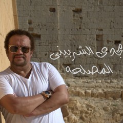 مجدى الشربينى - المصلحه 2016