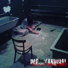 Paf feat. ViVi - Cannibal