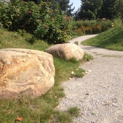Verde la mañana. El humor de las flores Perfuma mi esperanza.
