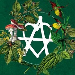 Bassballett & Tün Ni @ Klangtherapie Festival 2016 / Sandpalast (Sonntagnacht)