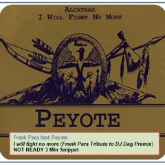 Peyote feat. Frank Para I will Fight No More (Frank Para Tribute To DJ Dag Mix)