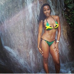 Dancehall Mix 2016 - Vybz Kartel, Alkaline, Mavado & more - Gyal Scheme Mixtape (Dj Fearless)