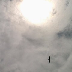 Polina Lymar - Дыхание (Cover)