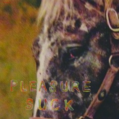 The Spirit Of The Beehive - pleasure suck