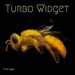 First Light EP
