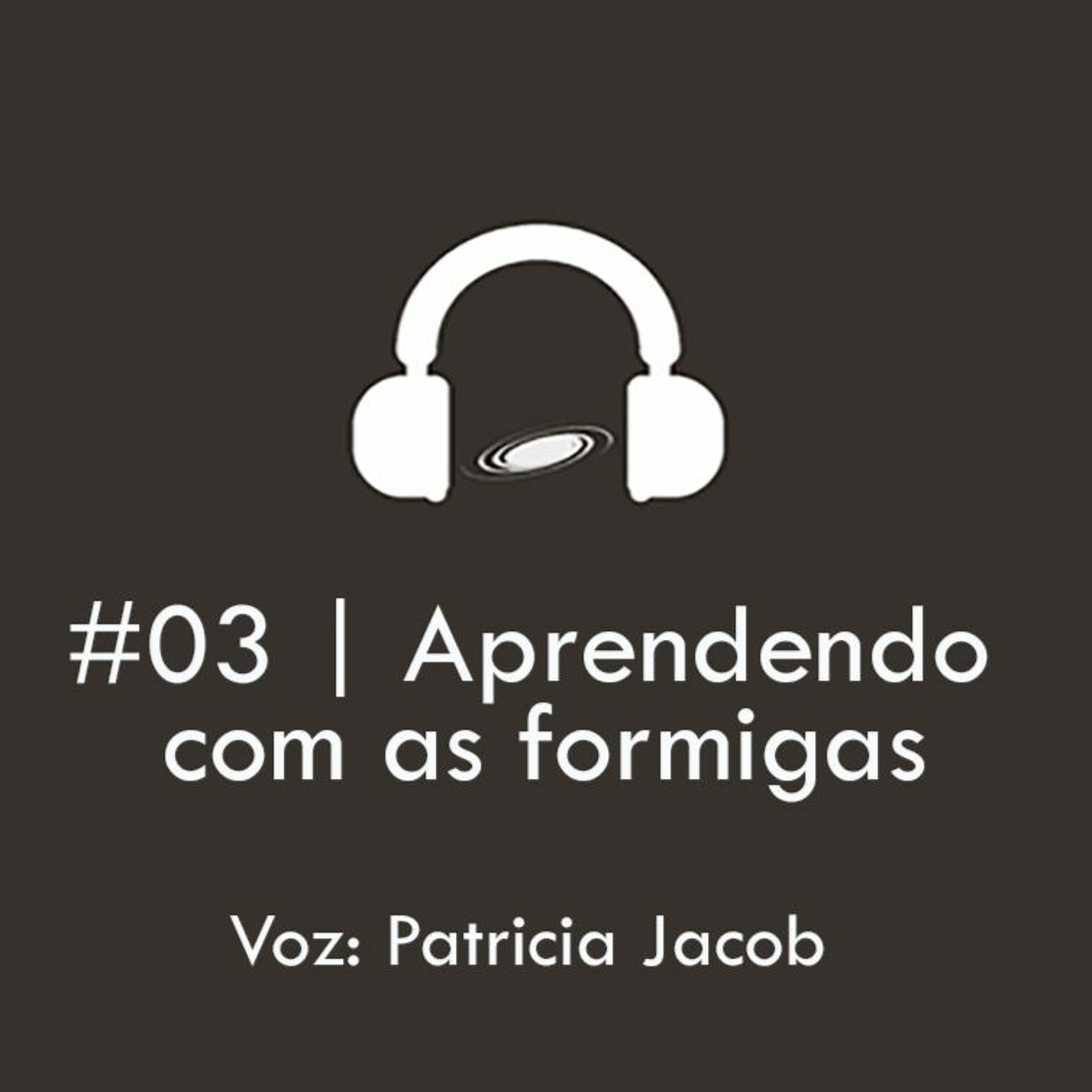 #03- Aprendendo Com As Formigas episode artwork