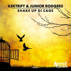 Ilektrify & Junior Rodgers - Shake Up Di Cage