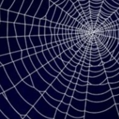 septimus (CircuitKaossWorkout)