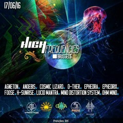Live set @ High Frequencies party (17/06/2016)