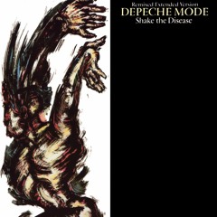 Depeche Mode - Shake The Disease (Acoustic By Raph  Www.raphmode.net)