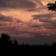 Insurance Rain Reprise