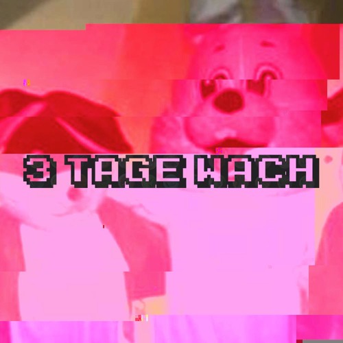 3 Tage Wach