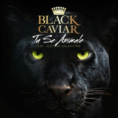 Black Caviar X Justina Valentine - Tu Se Animale