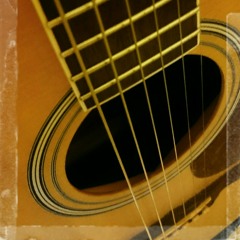 Wasted Years (Iron Maiden Acoustic Cover)