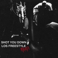 Shot You Down Remix Freestyle