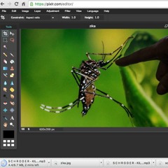 S C H R Ö D E R - KILLING ZIKA (ou Não Seremos Derrotados Por Um Mosquito)
