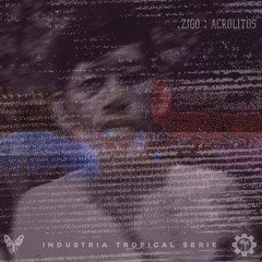 .zigo - sensoII