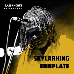Skylarking Dub (Horace Andy) - Dubplate Version