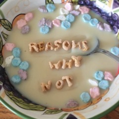 Reasons Why Not (Feat. Dug)