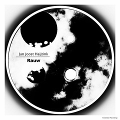 Jan Joost Haijtink - Rauw (Original Mix)