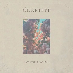 Say You Love Me - Odarteye (prod by Kuvie)