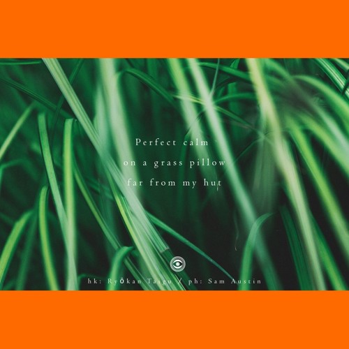 On a grass pillow [Naviar Haiku #141]