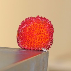 Silent Zen ~ Group Submissions Spotlight ~ Vol. 1 ~ Sept. 2016