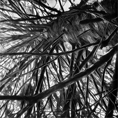 DJ Set - From deep to Dark