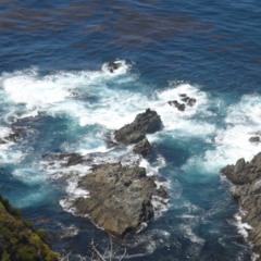 The Oceans Daughters