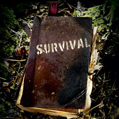 Survival (prod.shuka4beats)