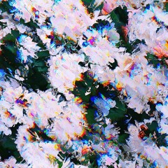 glue70 x tomcbumpz