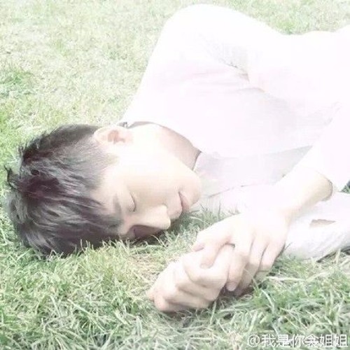 Mộng (梦) - Vương Bác Văn (王博文)