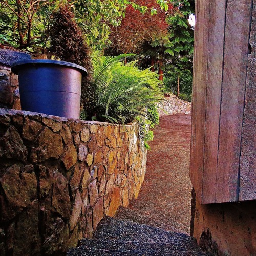 Flyzone Interlude ft. Shaq