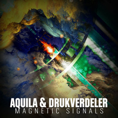 Aquila Section IX Drukverdeler  DJ Bim Remix