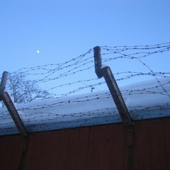 Razor Burn Wire