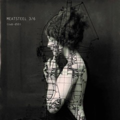 Vertical Spectrum - Masquerade And Frozen Gravity (SUBSIST V​​A Meatsteel Compilations)