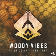 3. Woody Vibes - Nocturnal Walking