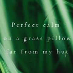 Contemplating Perfect Calm [Naviarhaiku141]