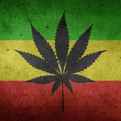 METR - Fyah