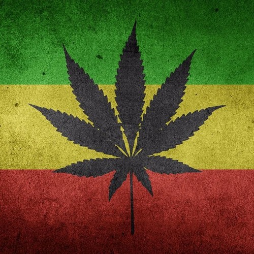 METR - Fyah