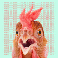 Bonde do Role - Solta O Frango (Zap Holmes Flip)