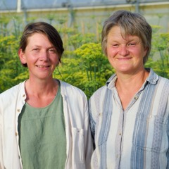 Pflanzenzüchtung und Saatgutvermehrung mit Tradition - Vera Becher und Iris Attrot vom Ralshof