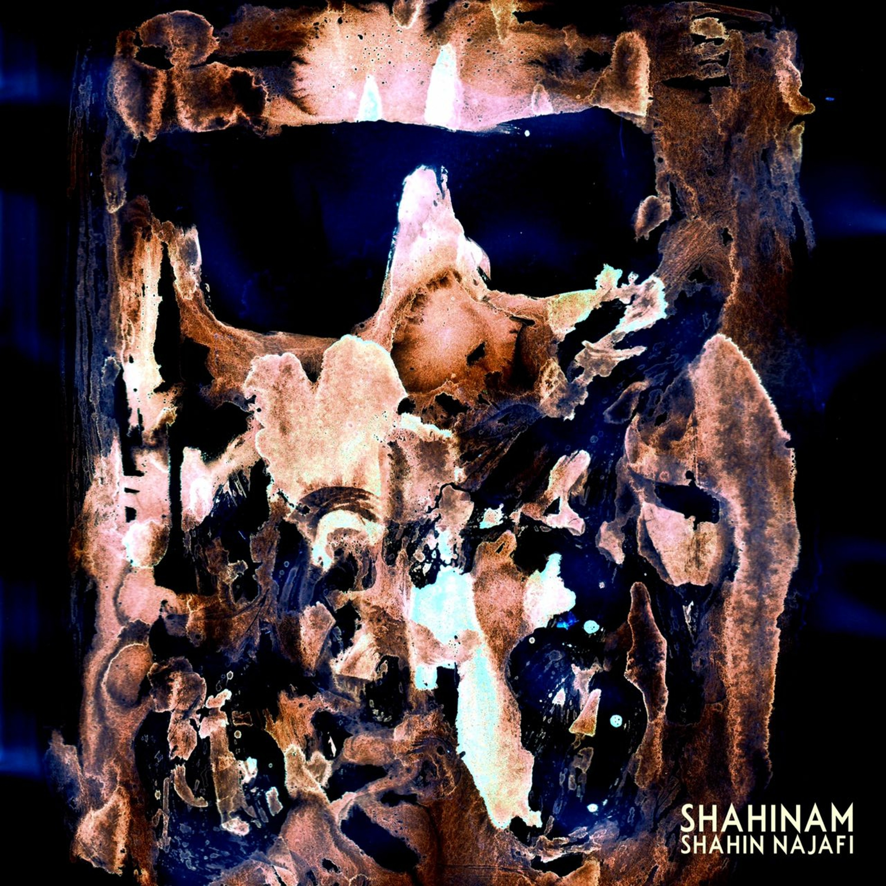 ShahinNajafi