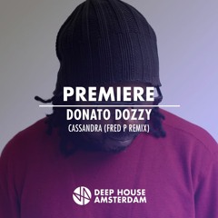 Premiere: Donato Dozzy - Cassandra (Fred P Remix)