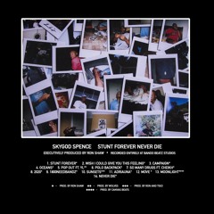 Wish I Could Give You This Feeling (prod. by Ron Shaw)